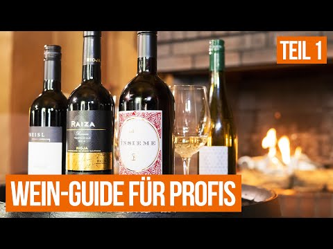 Teil 1: Grundlagen | Der große Wein-Guide für Gastro-Profis