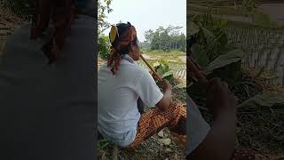 Download lagu SULING SUNDA MERDU mp3