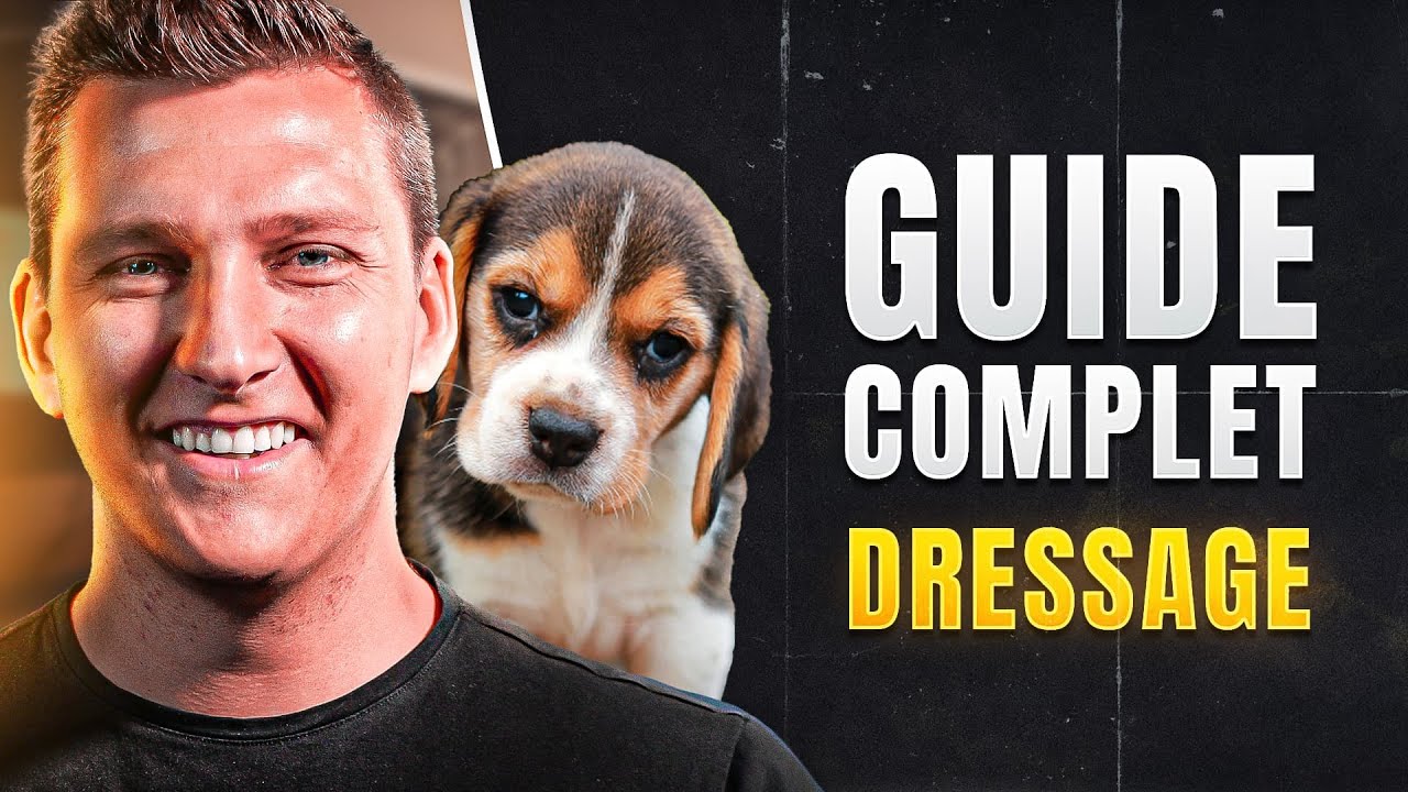 Comment éduquer un chien ou un chiot en 3 étapes (Guide Complet)