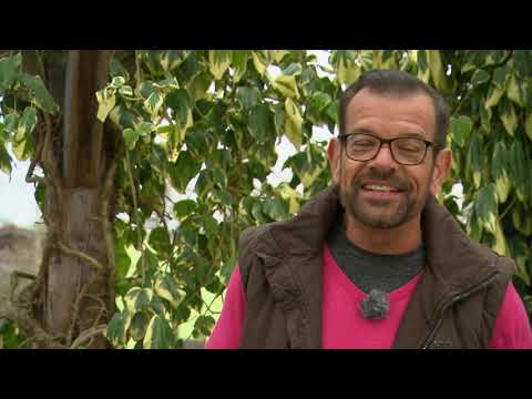 Natur im Garten Sendung vom 02.05.2021