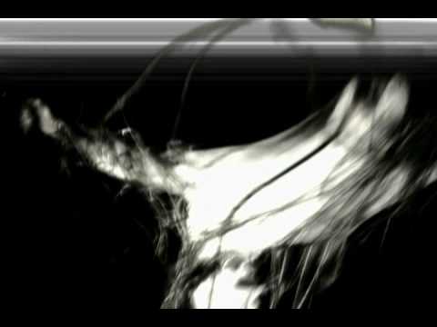 Venus In Pain - Die anew (visual no sound)