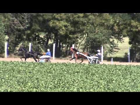 Србобран 8 Септембар 2013 - до 200