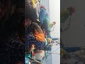 Namaz In Mini Shots