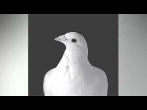 Miss NatNat - Sunbelt Regret (Tinush & Wolfgang Lohr's After Sun Mix) 96kbps