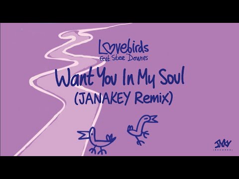 Lovebirds  -  Want You In My Soul ft.  Stee Downes (JANAKEY Remix)