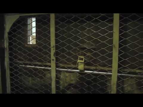 Haughton Hydraulic Freight elevator @ Todd Union Rochester NY w/ Jimster586
