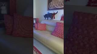 my little love❤😘🤣