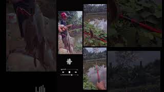 Download lagu 16 September 2024 mp3 Download lagu 16 September 2024 mp3