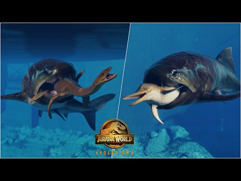 Dunkleosteus Deadly Hunting Animations vs All Marine Reptiles including Mosasaurus, and Kronosaurus
