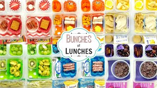 School Lunch Ideas for KIDS + What They Ate | Colors | BUNCHES of LUNCHES