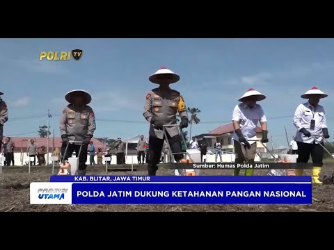 POLDA JATIM TANAM JAGUNG DAN LAUNCHING BENIH MEREK BHAYANGKARA