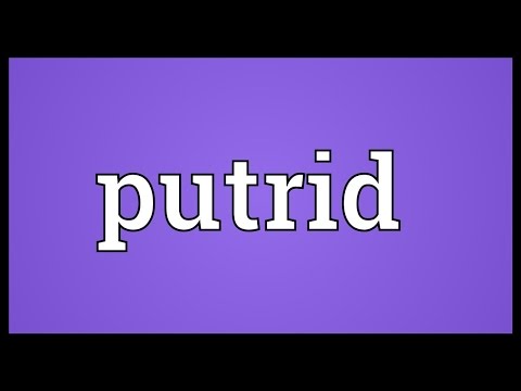 Putrid Meaning