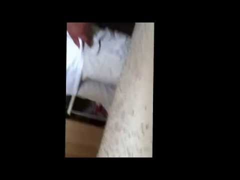 The Winners Still Don't Keep They're... Oh shit, never mind!