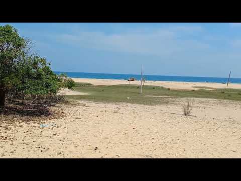 Panoramic view of Manalkaadu Beach Sri Lanka  Indian Ocean Tsunami 2004