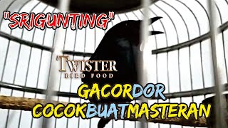 Download lagu SRIGUNTING GACOR DOR COCOK BUAT MASTERAN mp3