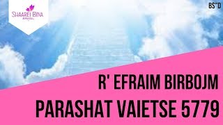 Parashat Vaietse