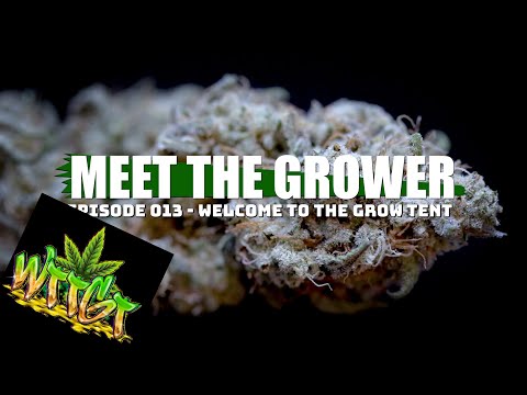 Meet the Grower Ep. 013 - Welcome to the Grow Tent