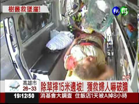 除草摔邊坡! 婦人倒栽蔥卡樹叢