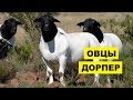 https://www.youtube.com/watch?v=QYOixfVlH_g