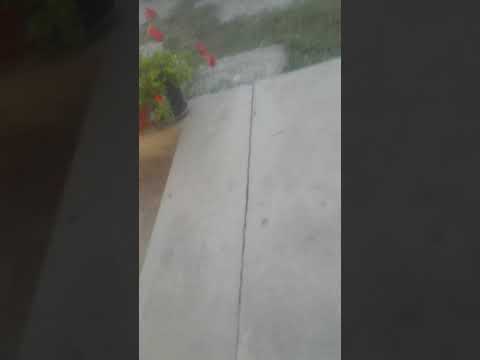 Azi plecam dela nicoresti