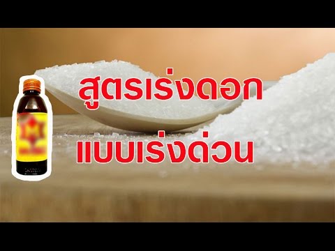 เล่นฉันตื่นเต้นผู้หญิง วิธีการที่จะกระตุ้นผู้หญิงถ้าเพื่อน