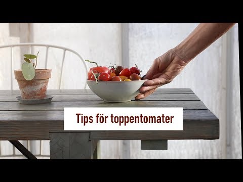 , title : 'Tips för toppentomater'