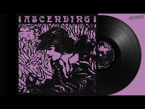 Ascending - Guanto nero