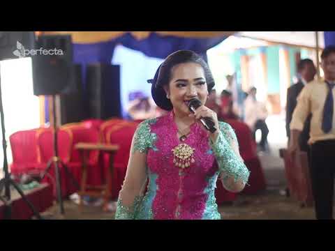 KEMBANG RAWE DANGDUT GARAP SRAGENAN - ATIKA - CAMPURSARI PURWO WILIS || MR. AUDIO