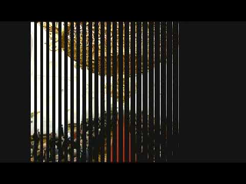 Музыкальные эпизоды инауграции