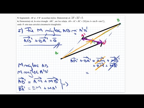 Simulare Bacalaureat 2021 - Mate Info - Rezolvare Subiect