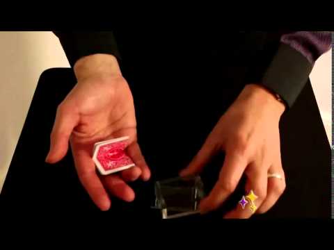 Paragon 3D - Jon Allen