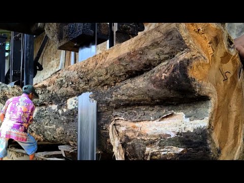 fast lightning, the money was gone an instant!! Because of this teak wood, my boss went bankrupt 