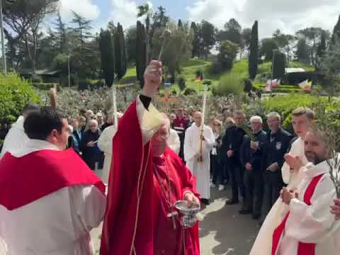 Video: 