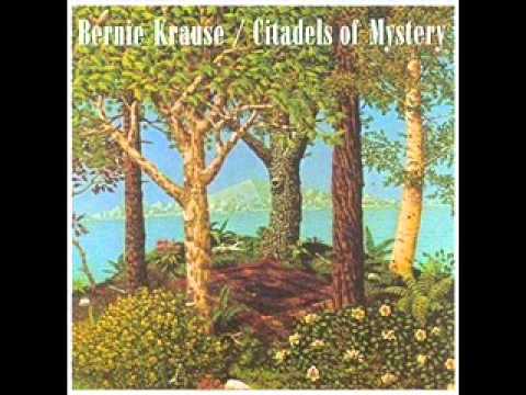 bernie krause - jambo, jambo