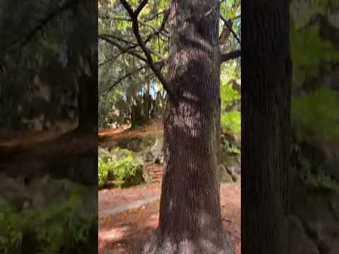 Brunate, Lake Como, Italy