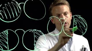 Het visuele baansysteem - van de ogen tot de occipitale cortex