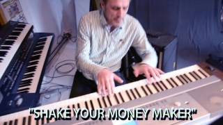 The Bluesmen Band - Shake Your Moneymaker (Elmor James)