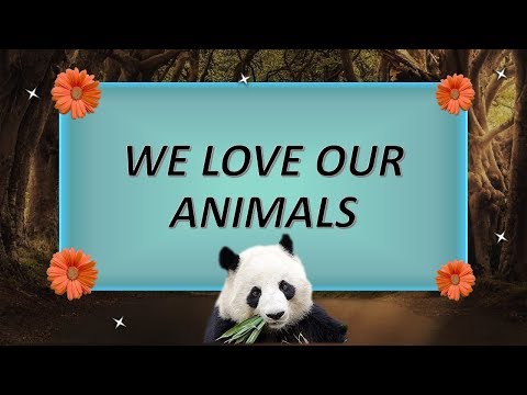 BE KIND TO ANIMALS... ALWAYS https://chaptersee.com/