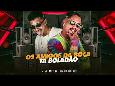 OS AMIGOS DA BOCA TA BOLADÃO - MC RICARDINHO, ZECA MALVINA