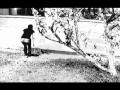 Devendra Banhart COSMOS AND DEMOS