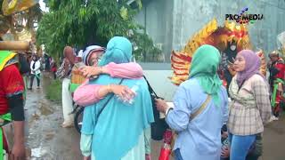 Download lagu JOKO TINGKIR NGOMBEH DAWET - SINGA DANGDUT PUTRA GENADES | TANJUNGSARI 4-10-2022 mp3 Download lagu JOKO TINGKIR NGOMBEH DAWET - SINGA DANGDUT PUTRA GENADES | TANJUNGSARI 4-10-2022 mp3