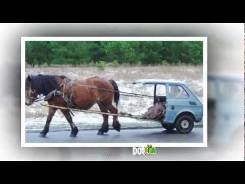 Thể hiện bởi ThùyHD