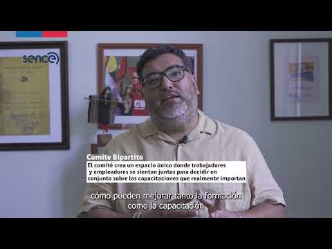 1.-¿Qué es Un Comité Bipartito?