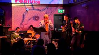 Duglas T Stewart w/ Honey & the Herbs- That Lonely Feeling