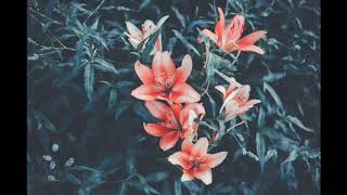 icon for hire - sorry about your parents // slowed