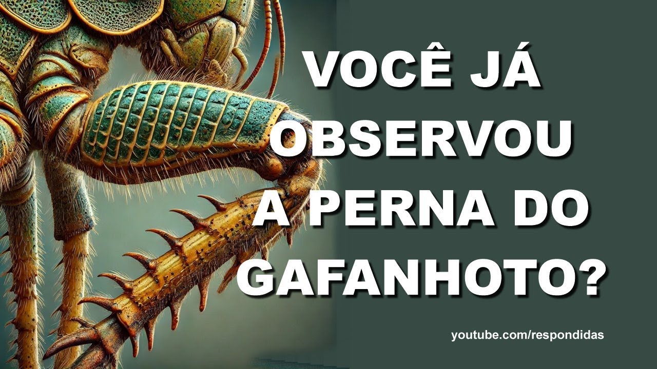 VOCÊ JÁ OBSERVOU A PERNA DO GAFANHOTO? Mario Persona