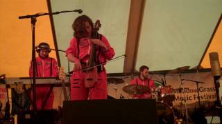 The Accidentals - Crows&#39; Feet - Meadowgrass - May 27, 2017