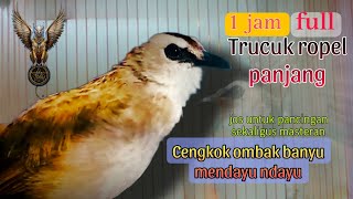 Download lagu 1jam trucukan gacor ropel panjang cengkok ombak banyu santai mendayu Dayu jos untuk masteran mp3
