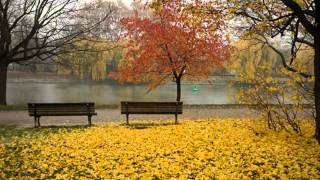 DE NEW YORK A SINGAPOUR, version studio, une chanson de Gérard Vermont