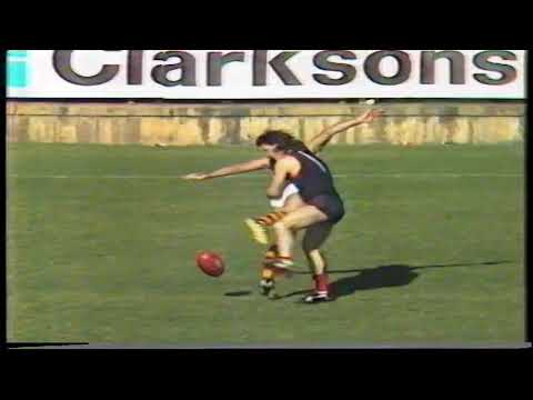 1988 Preliminary Final Glenelg 11.10 76 d Norwood 10.11 71